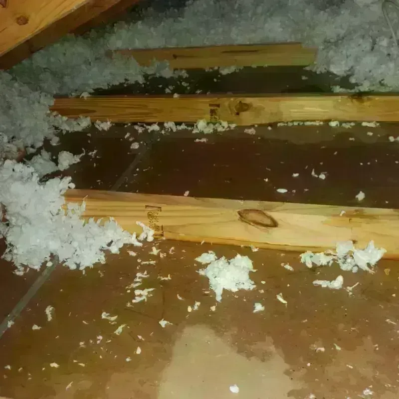 Attic Water Damage in Sardis City, AL